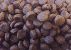 ZooRing сухой корм для собак мелких пород (говядина) 700 гр