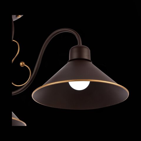 Люстра потолочная Evoluce Ciolla SLE120402-03