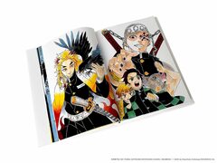 The Art of Demon Slayer: Kimetsu no Yaiba (На Английском Языке)