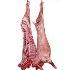 Пол туши барашка