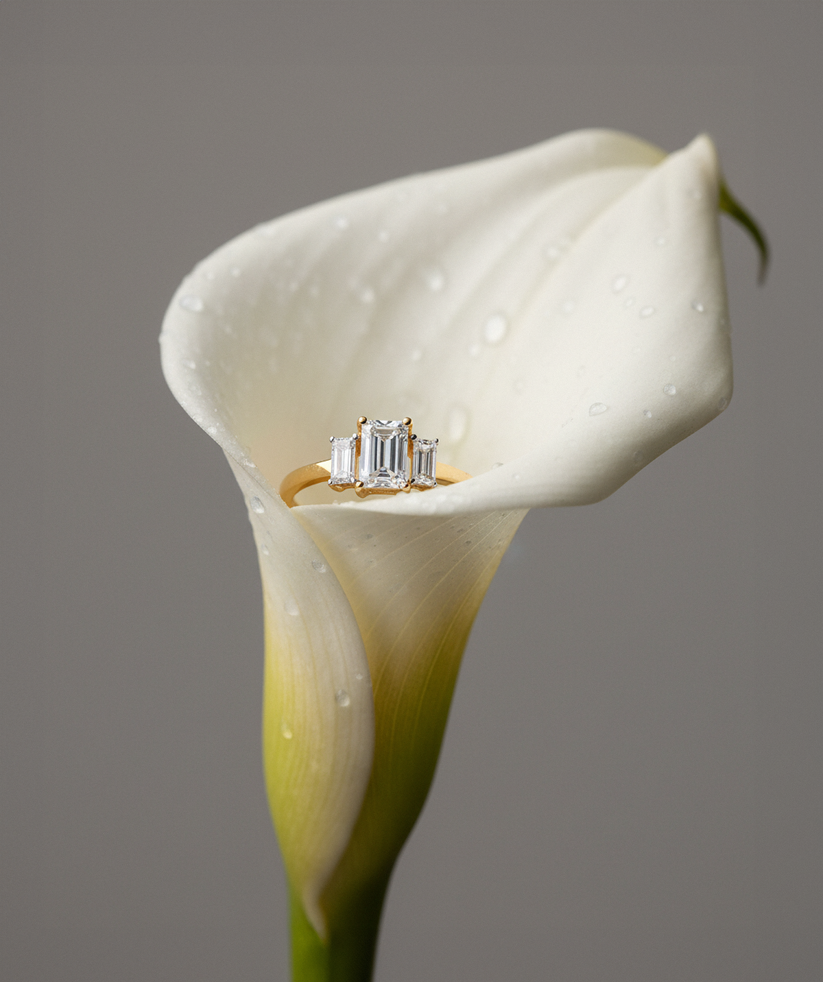 Кольцо из золота с фианитами, 019591