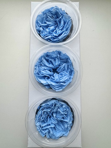 Роза сортовая 7-8см Синий (цена за 3шт)