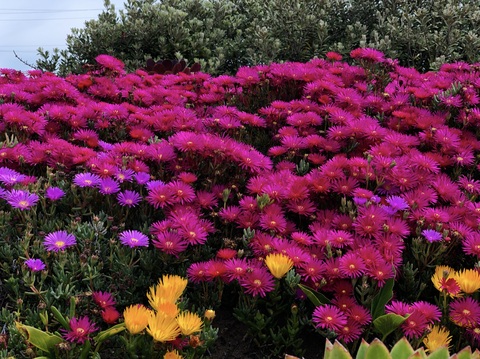 1111 новый товар3