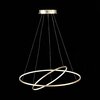 Светильник подвесной ST Luce Erto SL904.203.02
