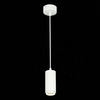 Светильник подвесной ST Luce ST600.543.10