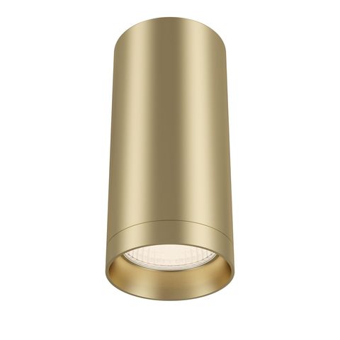 Потолочный светильник Technical Focus C010CL-01MG