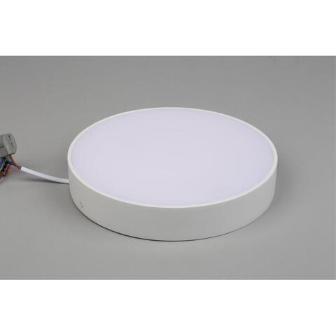 Потолочный светодиодный светильник Aployt Evon APL.0113.09.24