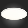 Светильник настенно-потолочный ST Luce ST601.542.48