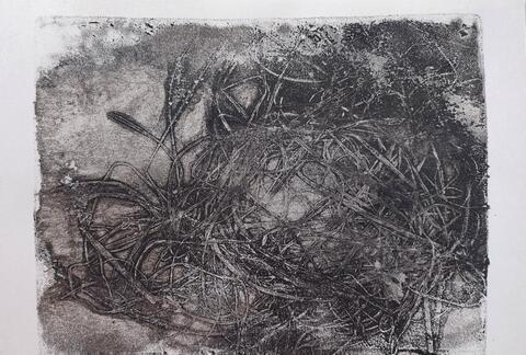 Гнездо №7 Гнездо №7