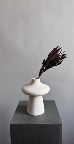 Протея Брэнда