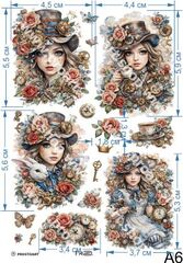 0249 Пленочный трансфер ProArt