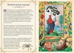 Магические животные. Легенды и суеверия