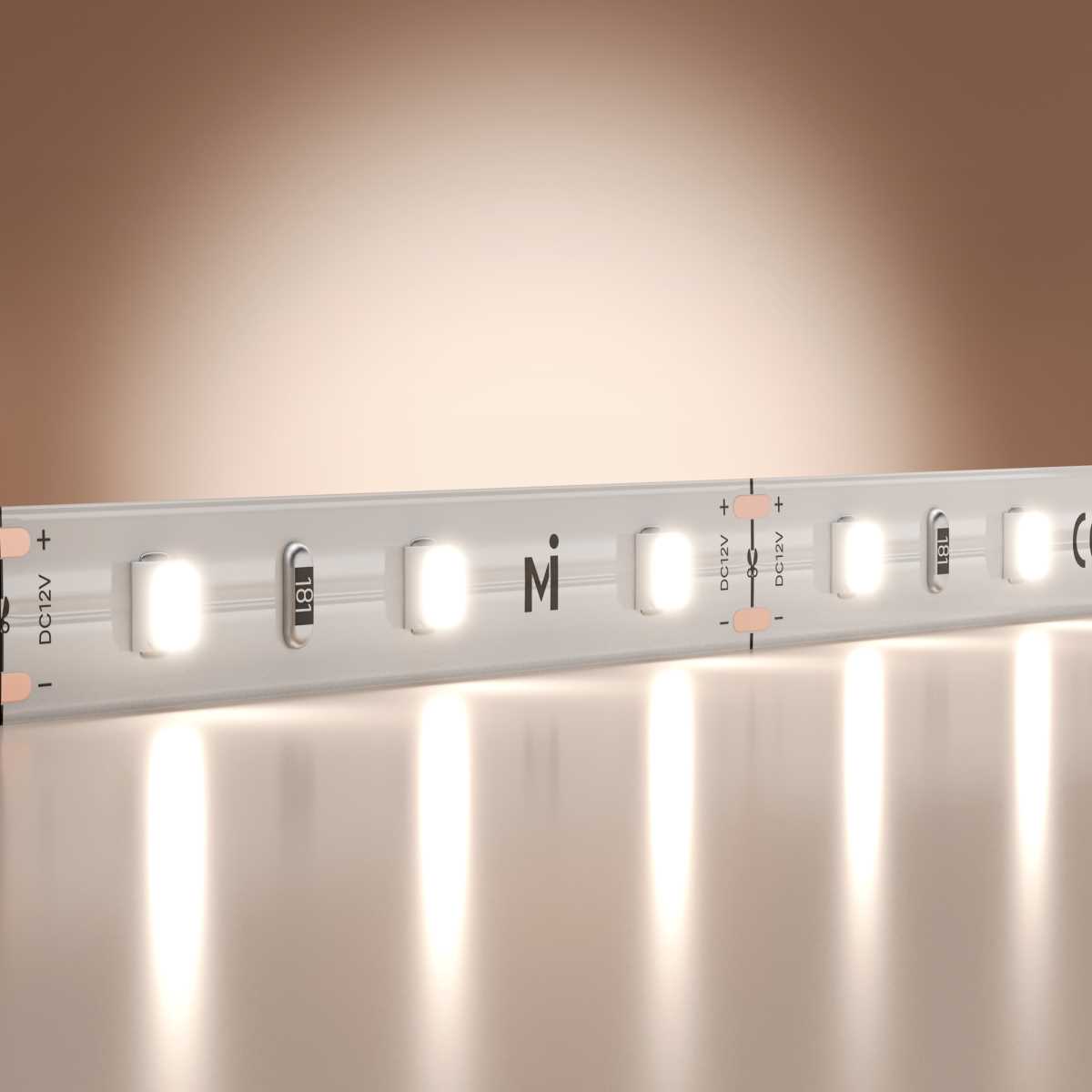 Светодиодная лента Maytoni Led Strip 5м 201164