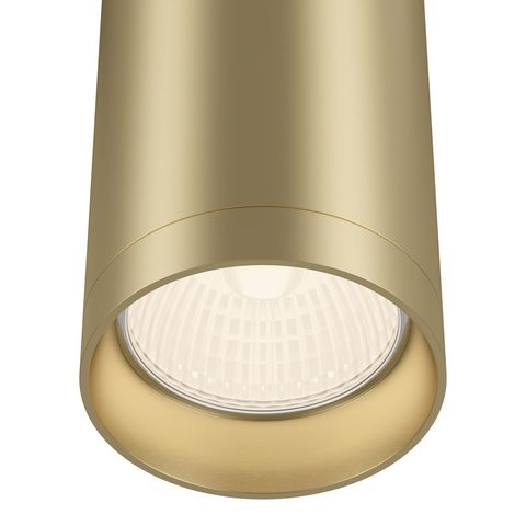 Потолочный светильник Technical Focus C010CL-01MG