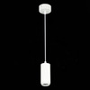 Светильник подвесной ST Luce ST600.543.10