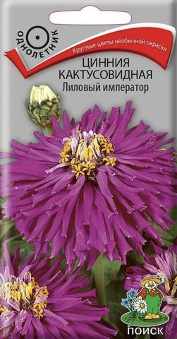 Семена Цинния Лиловый император, Одн