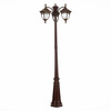 Светильник уличный ST Luce Chiani SL083.705.03