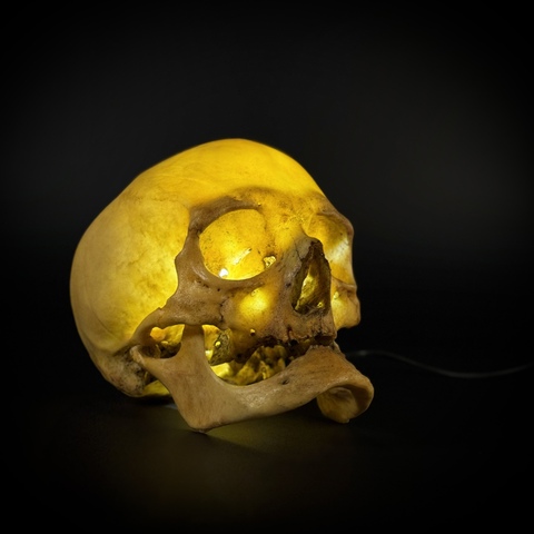 Ночник «Donna Lucky”