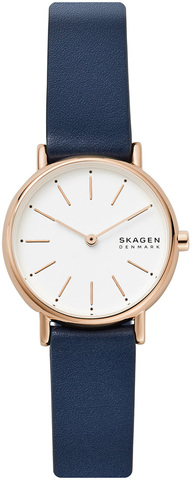 Наручные часы Skagen SKW2838 фото