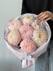 Букет моно из хризантемы в светло розовом оттенке