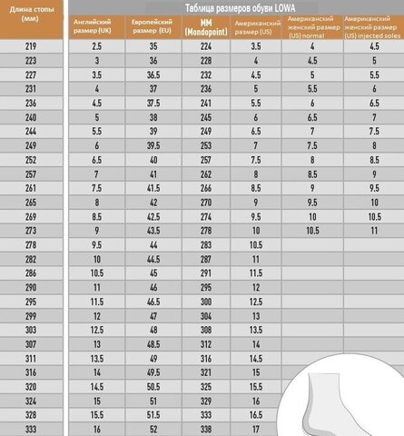 Тактические ботинки Lowa Zephyr GTX MID TF