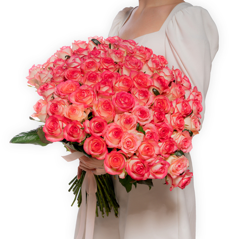 Букет 55 розово-белых роз Эквадор