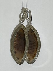 Пейзажный агат (серьги из серебра)