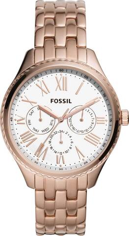 Наручные часы Fossil BQ3576 фото