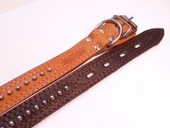 ZooMaster ошейник 25 подверн. фурнит. 55см