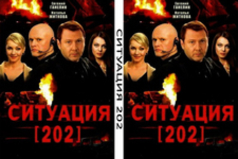 Ситуация 202