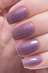 El Corazon 423/  48 active Bio-gel/ Jelly припылённо серый