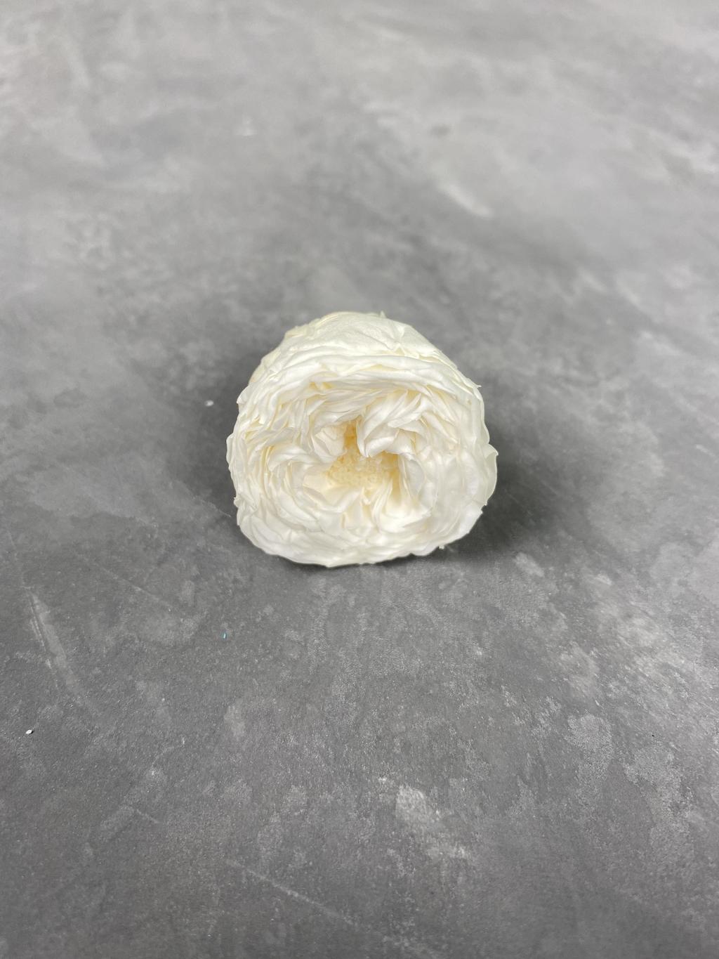 Роза пионовидная белая d=2-3 см