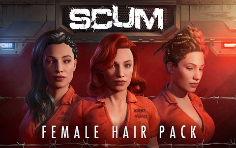 SCUM Female Hair Pack (для ПК, цифровой код доступа)