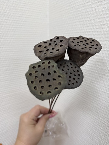 Лотос коробочка на проволоке Средние (набор из 4шт)