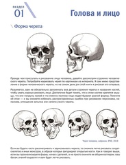 Учимся рисовать фэнтези. От эльфов до кентавров. Пошаговые уроки по созданию собственной вселенной