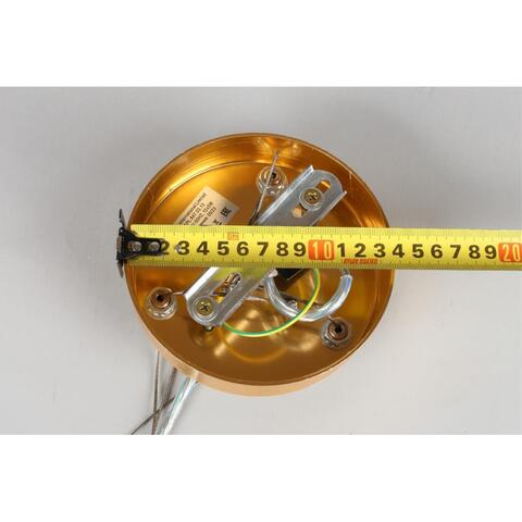 Подвесная люстра Aployt Gertunia APL.847.03.13