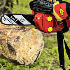 Пила цепная бензиновая DDE CS250-12