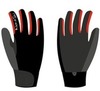 Перчатки Nordski Racing Black-Red WS