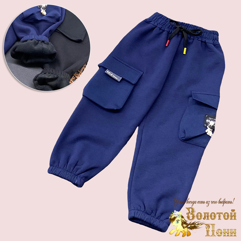 Брюки утепленные м (3-7) 240817-XS1045