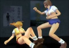 Ikki Tousen Shining Dragon (Playstation 2)