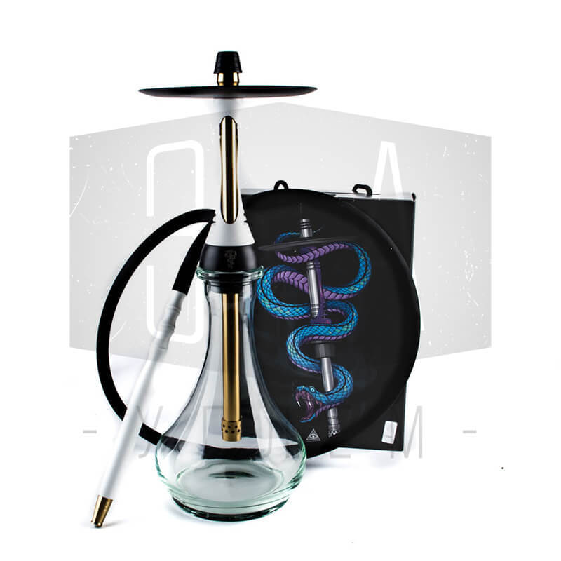 Alpha Hookah model x Cosmo