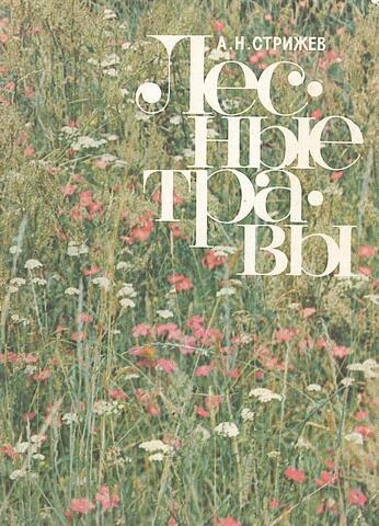 Лесные травы