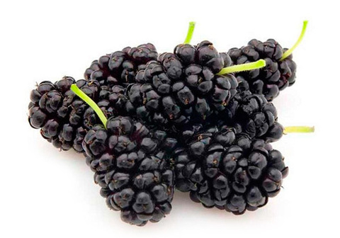 Шелковица Армения~500г