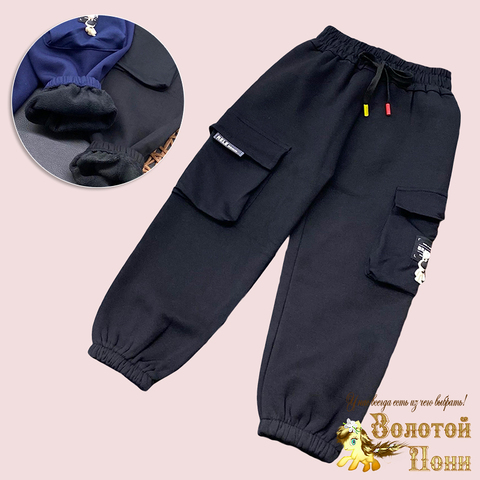 Брюки утепленные м (3-7) 240817-XS1046