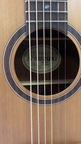 Suzuki SDG-16M акустическая гитара, верхняя дека ель, корпус красное дерево, накладка грифа палисандр