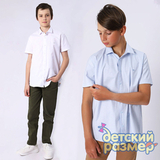 Рубашка на кнопках / 04138