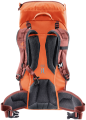 Рюкзак Deuter Climber 22 Papaya/Redwood