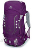 Картинка рюкзак туристический Ai One 8109s purple - 1