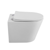BelBagno BB053CHR/SC FLAY-R Унитаз подвесной безободковый с сиденьем дюропласт soft close, BB053CHR/SC
