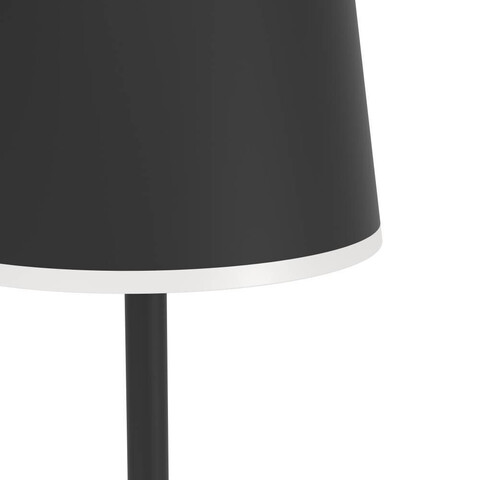 Аккумуляторный торшер Eglo Mannera-L 901748